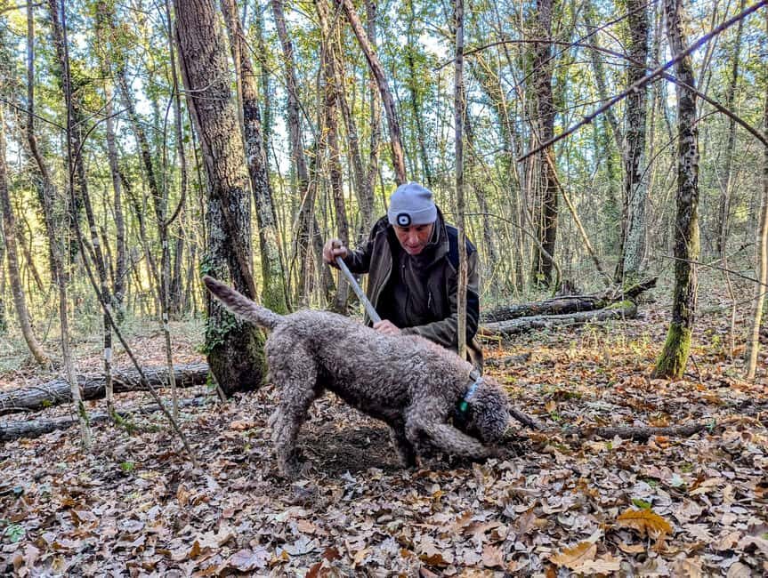 Florence: Truffle Hunt, San Gimignano, and Chianti Day Trip - What to pack (and what to skip) for a smoother day