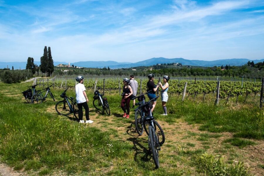 Florence: Tuscany Countryside Guided E-Bike Tour with Lunch - Vineyard and olive orchard time: learning without feeling like a class