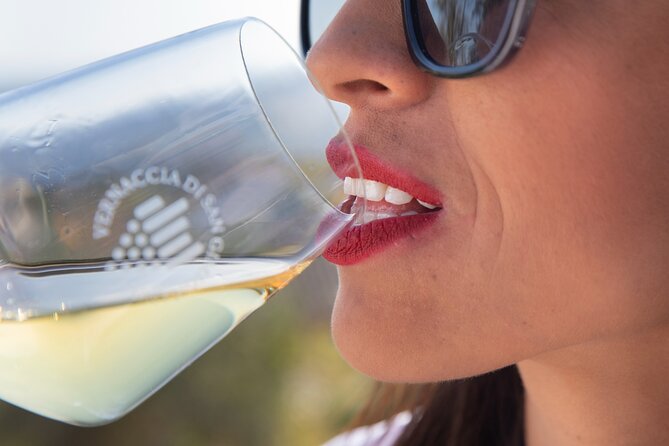 Food and Wine Lesson and Wine Tasting in San Gimignano - Who this experience fits best (and who should think twice)