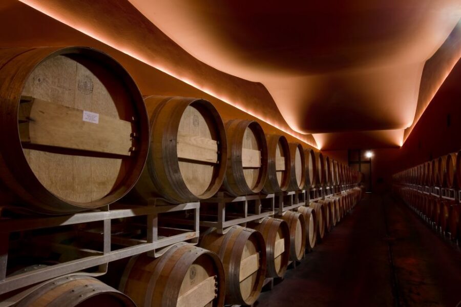 From Civitavecchia: Tuscany-Latium Wine Tour with Tastings - Vineyard walking, small perched villages, and what you learn beyond wine