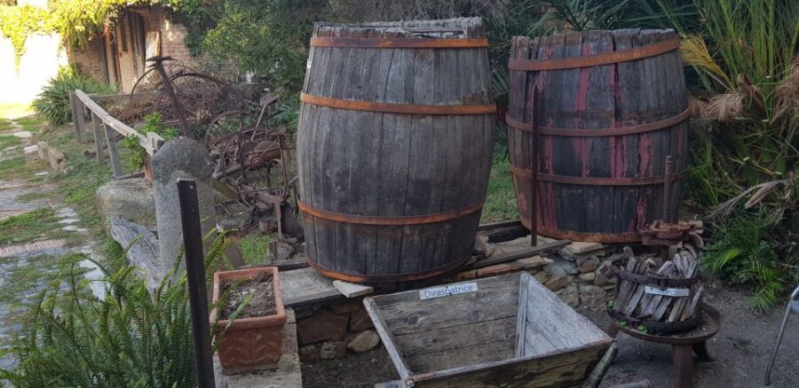 From Civitavecchia: Tuscany-Latium Wine Tour with Tastings - Group size, guide Mirko, and how the pace stays human