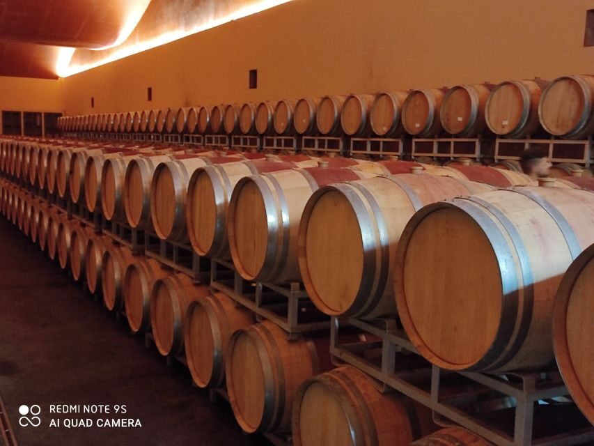 From Civitavecchia: Tuscany-Latium Wine Tour with Tastings - Not for everyone: mobility limits and pacing