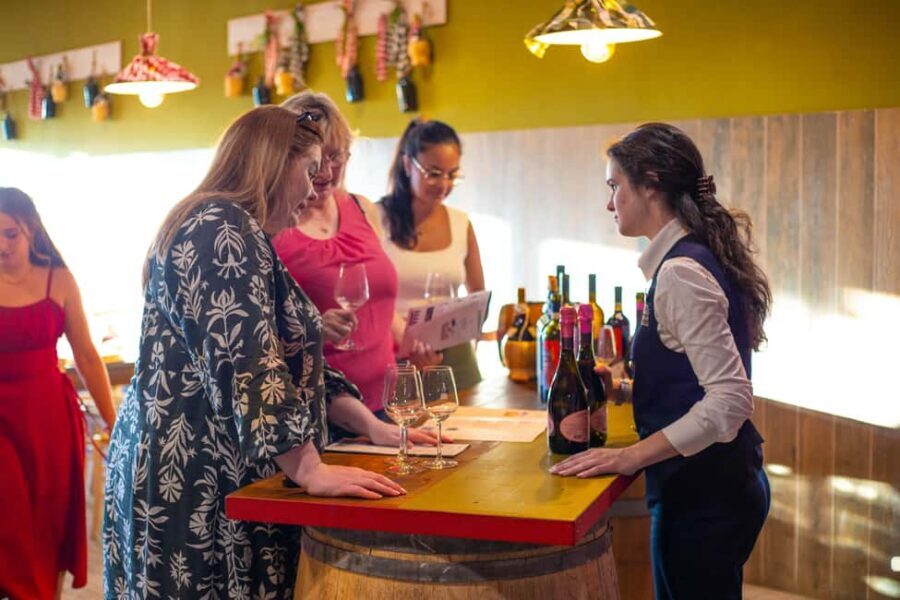 From Florence: Chianti Half-Day Afternoon Tour - What you’ll actually taste: 7 wines plus oil, balsamic, salami, and bread