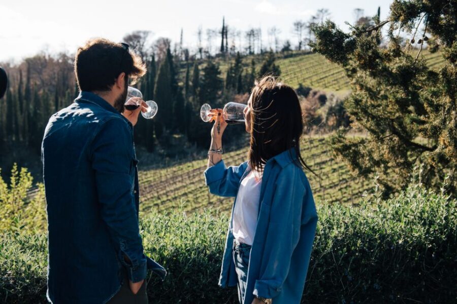 From Florence: Chianti Hills Half-Day Tour with Wine Tasting - Key moments I’d circle on your map