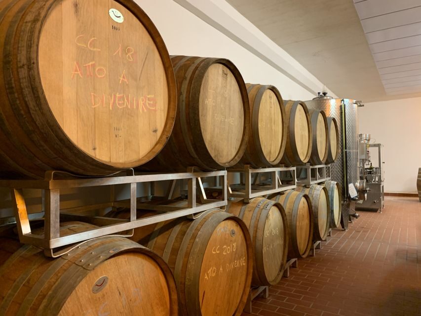 From Florence: Chianti Hills Half-Day Tour with Wine Tasting - Who this Chianti Hills tour is best for