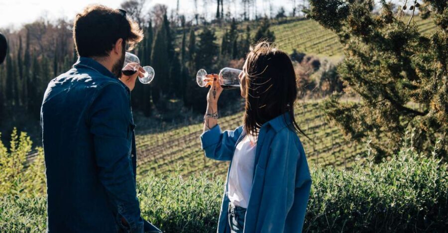 From Florence: Chianti Hills Half-Day Tour with Wine Tasting - Vineyard rows and soil talk: where the tasting starts to make sense