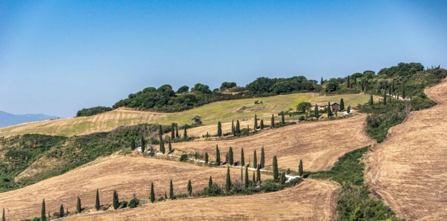 From Florence: Chianti, Montalcino & Montepulciano - Minivan - Who This Tour Fits Best (and Who Might Prefer Another Plan)