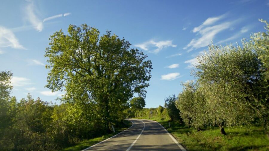 From Florence: Chianti, Montalcino & Montepulciano - Minivan - Monteriggioni and Crete Senesi: The Stops Between the Tastings
