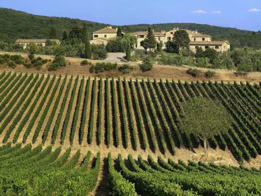 From Florence: Chianti, Montalcino & Montepulciano - Minivan - Montepulciano After Lunch: Hills, Squares, and a Self-Guided Feel