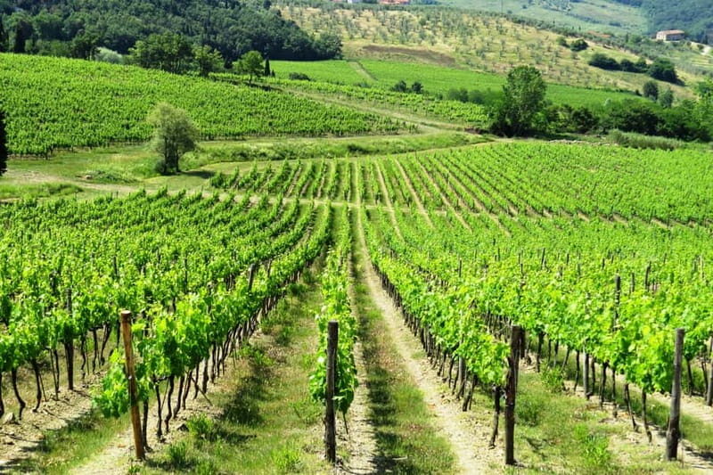 From Florence: Chianti Self-Guided Vespa Tour with Lunch - Chianti Hills on Your Own Schedule: Views, Roads, and Real Pacing