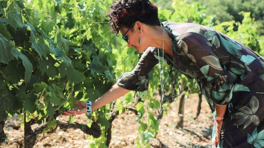 From Florence: Chianti Self-Guided Vespa Tour with Lunch - Timing and the Return Ride to Florence