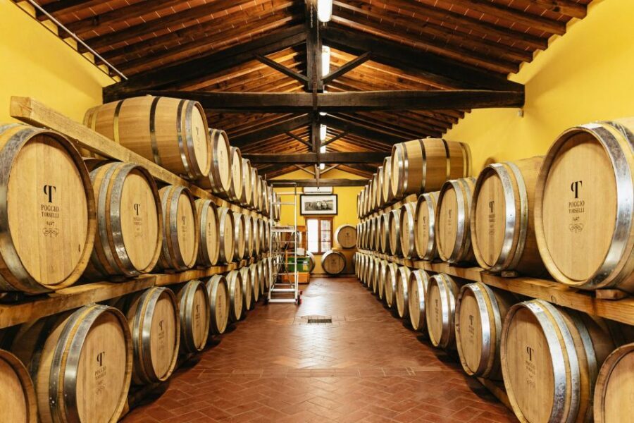 From Florence: Chianti Wine and Food Tasting Safari - Lunch at a Tuscan restaurant with views you can actually taste