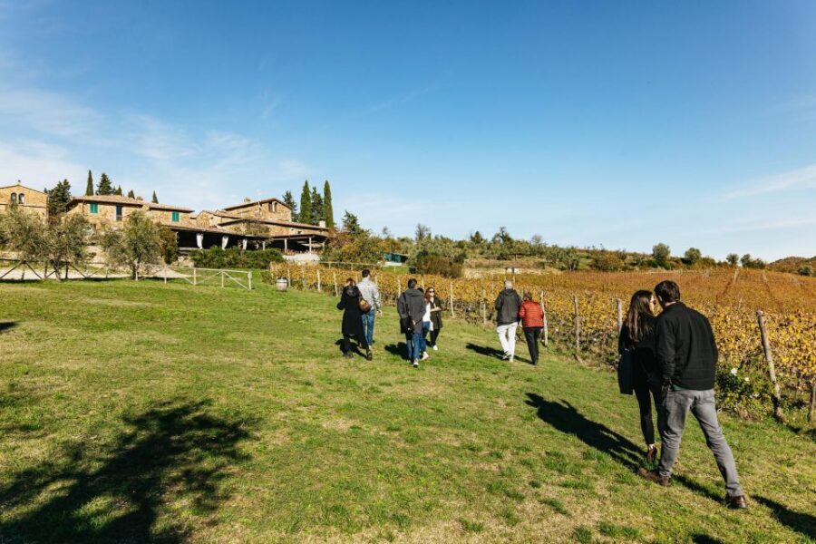 From Florence: Chianti Wine and Food Tasting Safari - Stop 2: Chianti Classico vines, tradition, and award-winning bottles