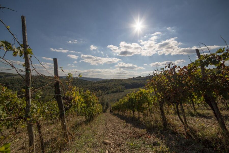 From Florence: Chianti Wine Tastings at Sunset Day Trip - Key reasons this sunset Chianti day trip works