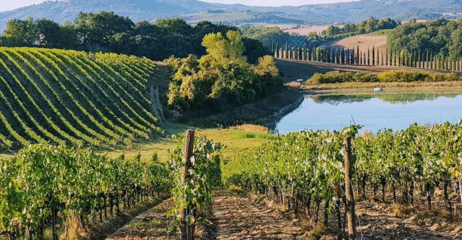 From Florence: Chianti Wine Tastings at Sunset Day Trip - From Florence to Chianti: the minivan rhythm you’ll actually enjoy