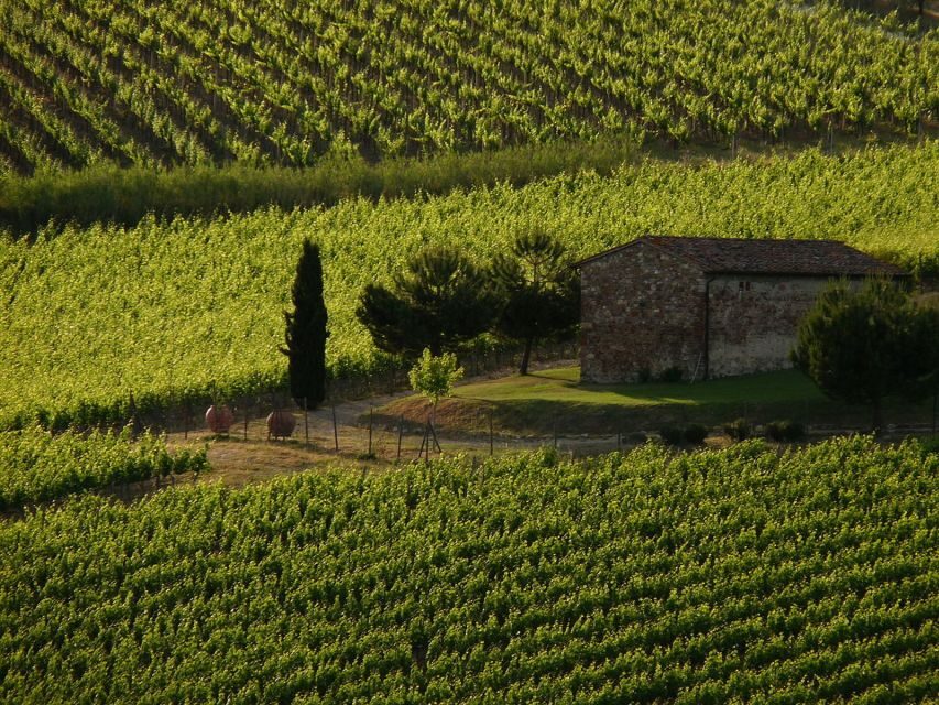 From Florence: Chianti Wine Tastings at Sunset Day Trip - Estate tasting #1: cellar tour + traditional bites in the first round