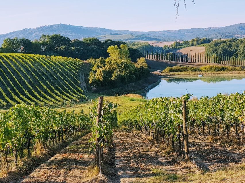 From Florence: Chianti Wine Tastings at Sunset Day Trip - Greve in Chianti photo stop: quick views, big payoff