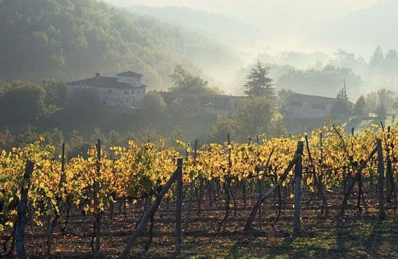 From Florence: Chianti Wine Tour with Driver-Guide - From Florence to Chianti: why the drive is part of the experience