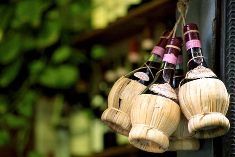 From Florence: Chianti Wine Tour with Driver-Guide - Panzano winery cellar visit: tastings with the winemaker, not just samples