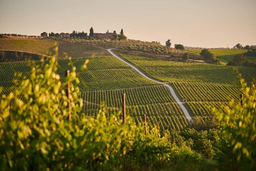 From Florence: Chianti Wine Tour with Driver-Guide - Lunch in the middle of wine country: trattoria or a cellar meal