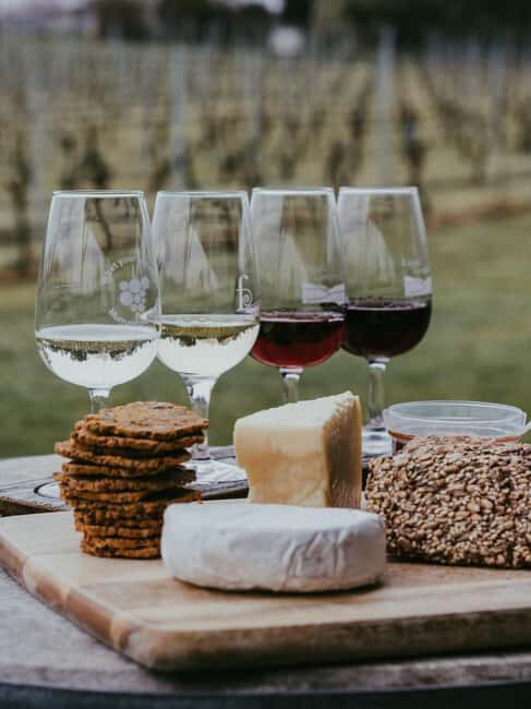 From Florence: Chianti Wine Tour with Driver-Guide - Should you book this Chianti Wine Tour from Florence?