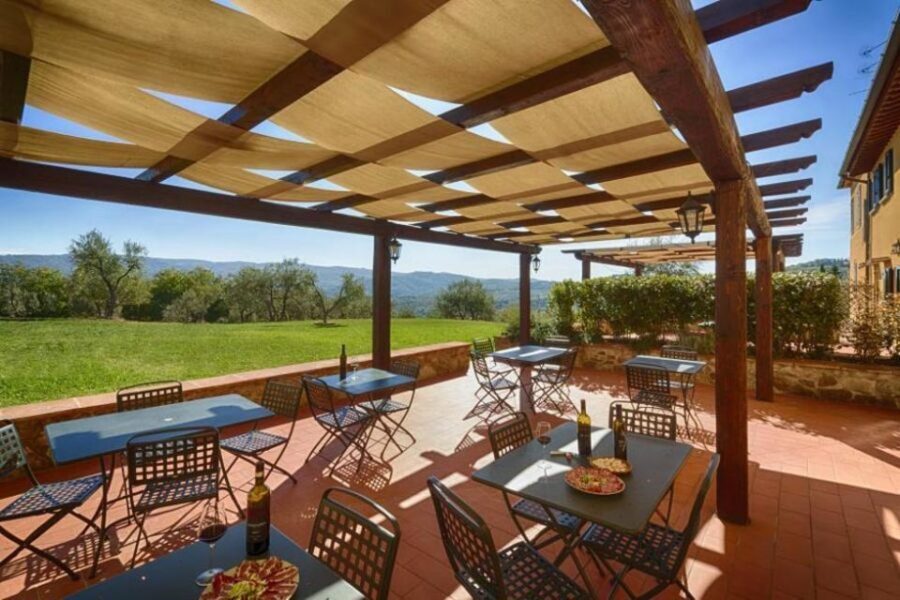 From Florence: Chianti Wine Tour with Tasting - Second Winery: Olive Trees, Vineyard Views, and Another Chianti Style