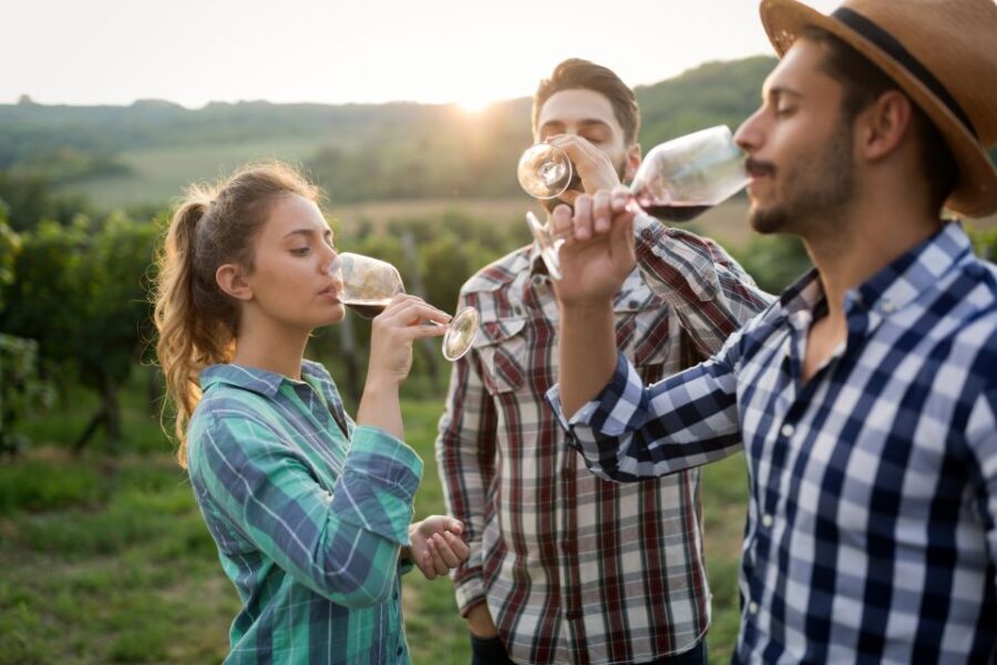 From Florence: Chianti Wine Tour with Tasting - Price and Value: What $41 Really Buys in Chianti