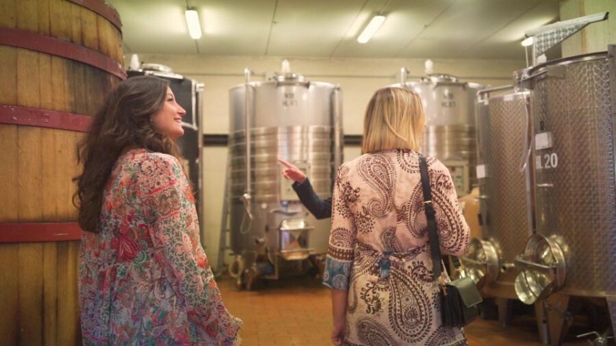 From Florence: Chianti Wine Tour with Tastings - The Chianti roads drive: views, photos, and getting your bearings fast