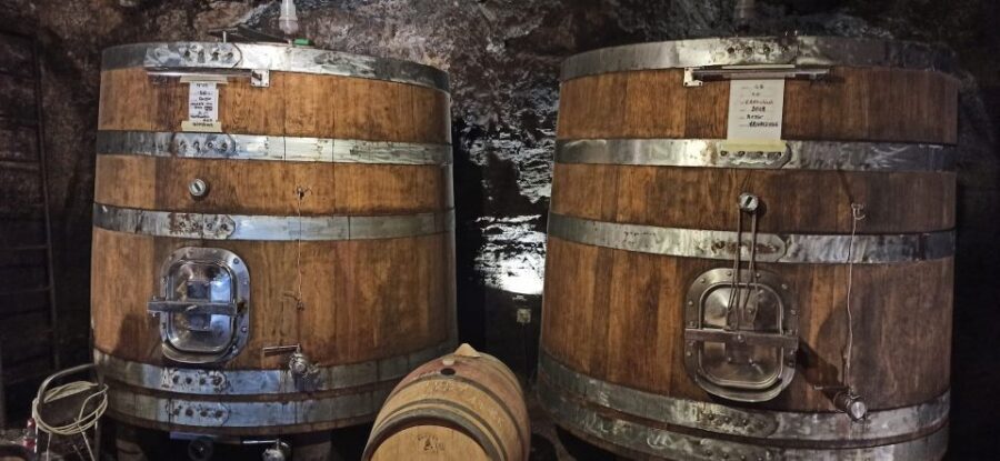 From Florence: Pisa/Chianti Half Day Tour with Wine Tasting - Key points worth knowing before you go