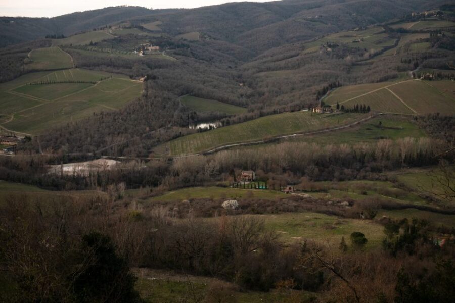 From Florence: Private Chianti Hills Tour with Tasting - Key things I’d watch for