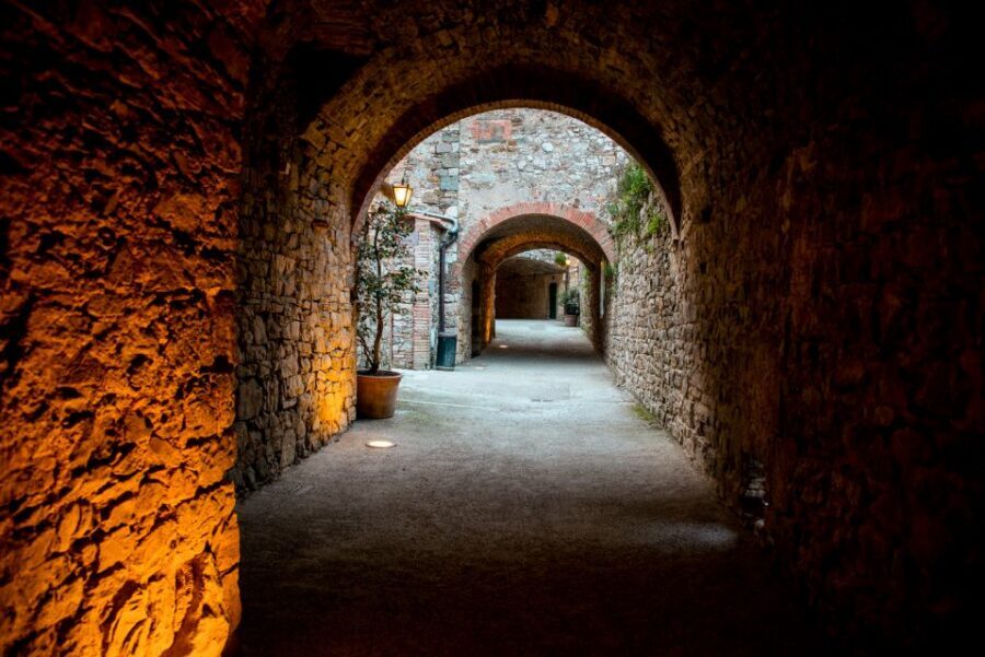 From Florence: Private Chianti Hills Tour with Tasting - What you actually get to taste: six wines plus regional bites