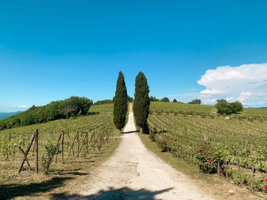 From Florence: Private Chianti Hills Tour with Tasting - The driving and timing: a 6-hour afternoon that avoids the all-day grind