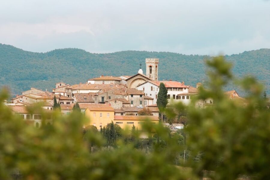From Florence: Private Chianti Hills Tour with Tasting - Guides and group feel: private means less rushing, more personality