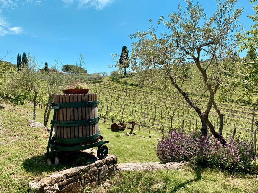 From Florence: Private Chianti Hills Tour with Tasting - Price and value: what you’re paying for at this level