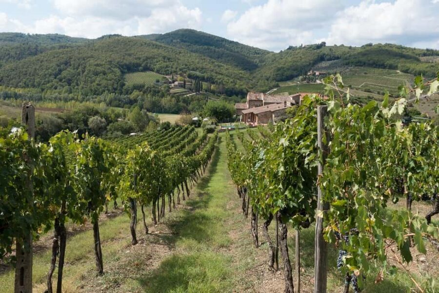 From Florence: Private Half-Day Chianti Tour & Wine Tasting - Should you book this Florence to Chianti half-day?