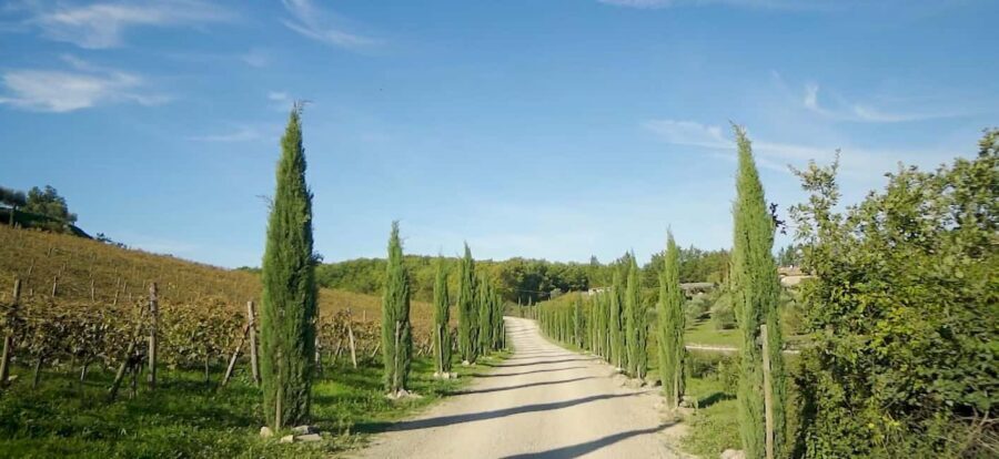 From Florence: Private Half-Day Chianti Tour & Wine Tasting - Greve in Chianti: crafts, small-town wandering, and Verrazzano