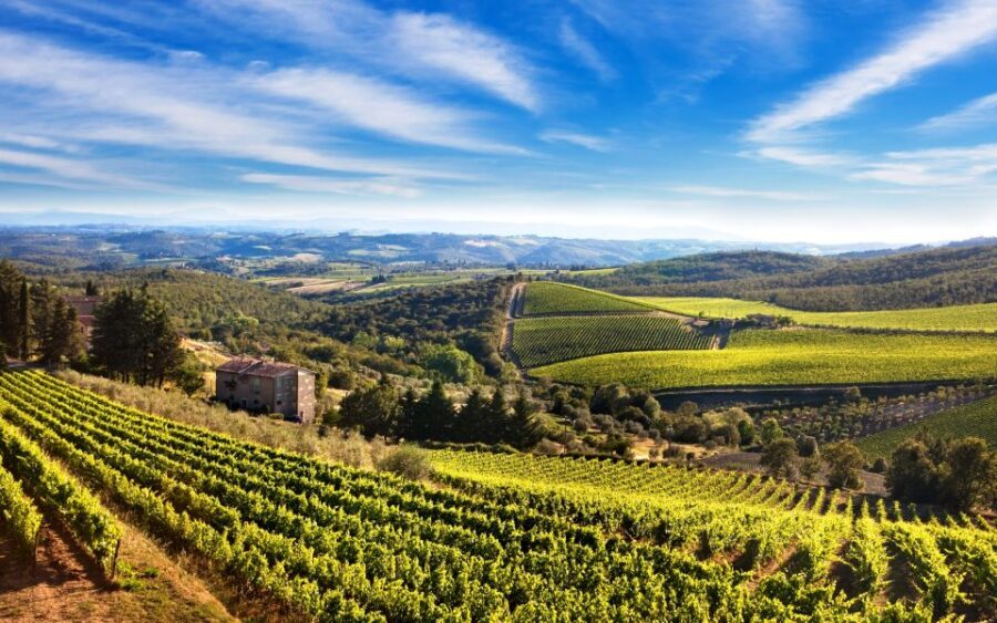 From Florence: Private Half-Day Chianti Tour & Wine Tasting - From central Florence pickup to the first views of Chianti