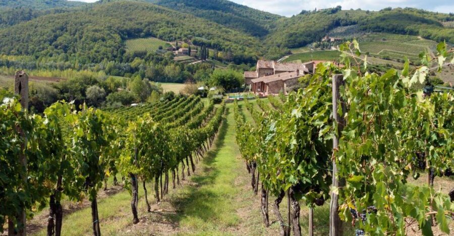 From Florence: Private Wine Tasting Tour in Chianti - Who This Chianti Tour Fits Best