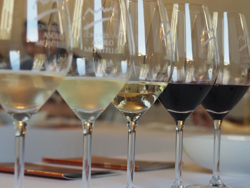From Florence: Private Wine Tasting Tour in Chianti - Stop One at the First Winery: Vineyard, Cellar, and a Serious Tasting Room