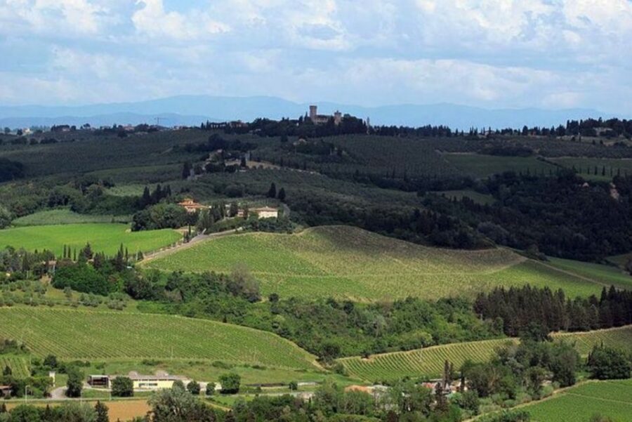 From Florence: Private Wine Tasting Tour in Chianti - Learning to Recognize Sangiovese (Without Pretending It’s Easy)