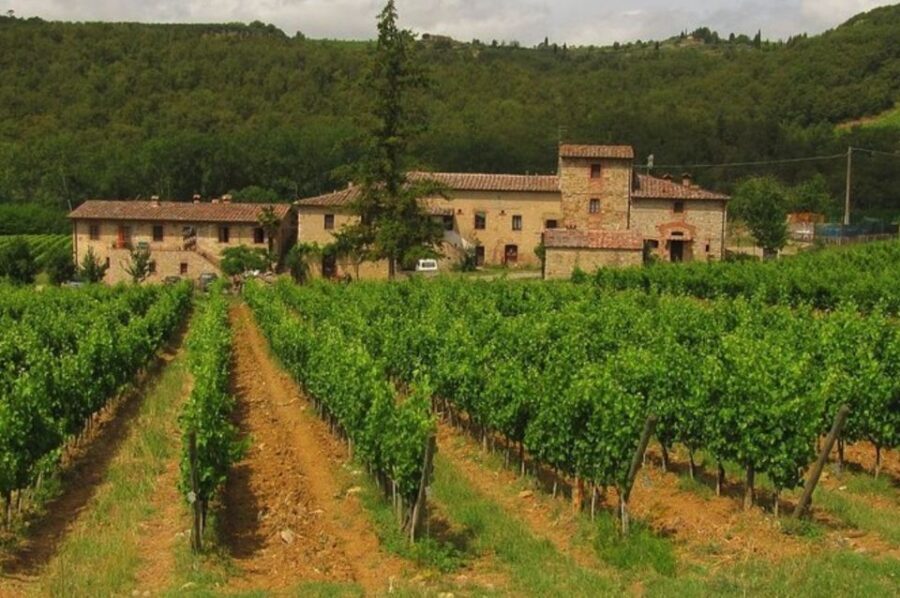 From Florence: Private Wine Tasting Tour in Chianti - Olive Oil Tasting: The Bonus That Makes the Day Feel More Tuscan