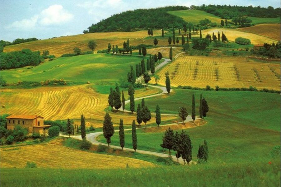 From Florence: Private Wine Tasting Tour in Chianti - Stop Two: Lunch Paired With Local Wine on a Terrace (Spring to Fall)