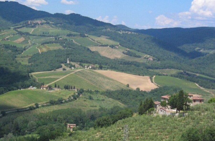 From Florence: Private Wine Tasting Tour in Chianti - The Pace and Timing: How to Make the 6.5 Hours Worth It