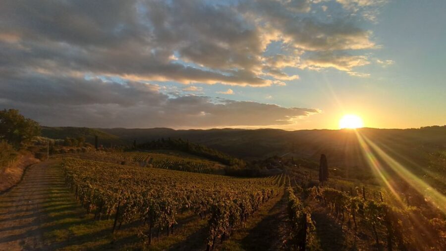 From Florence: Private Wine Tasting Tour in Chianti - Transport in a Range Rover: Comfort You’ll Notice on Day Trips