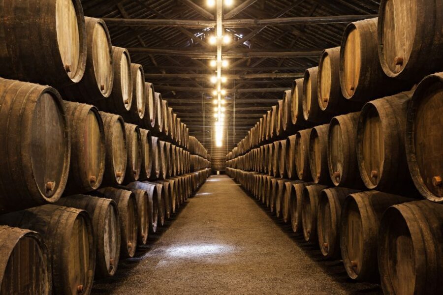 From Florence: Semi Private Deep Wine Chianti San Gimignano - How the Semi-Private Day From Florence Really Feels