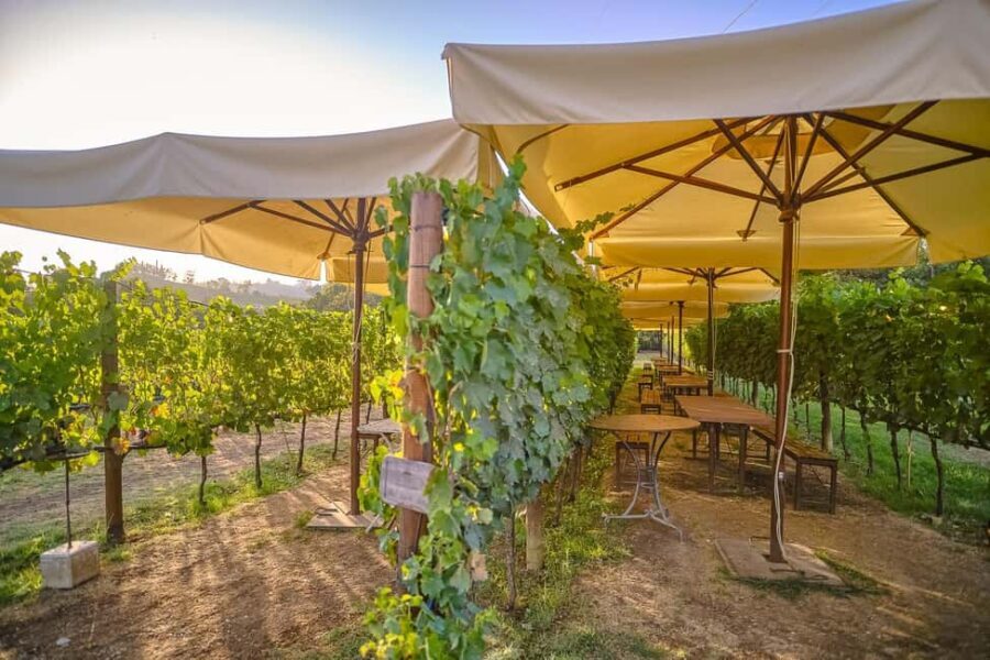 From Florence: Siena and Chianti Day Trip with Dinner - Chianti wine estate dinner: salami, bruschetta, and wines chosen by the owners