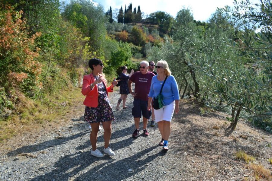 From Florence: Small-Group Chianti Wine Tour 2024 - Who should book this Chianti wine tour (and who should skip)