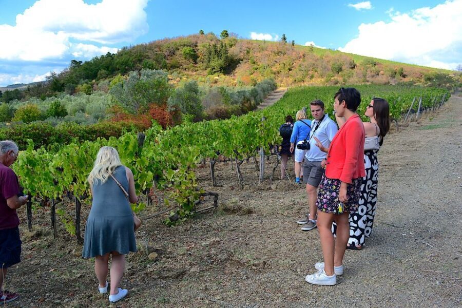 From Florence: Small-Group Chianti Wine Tour 2024 - From Florence’s Piazza Cavalleggeri to Tuscan wine country