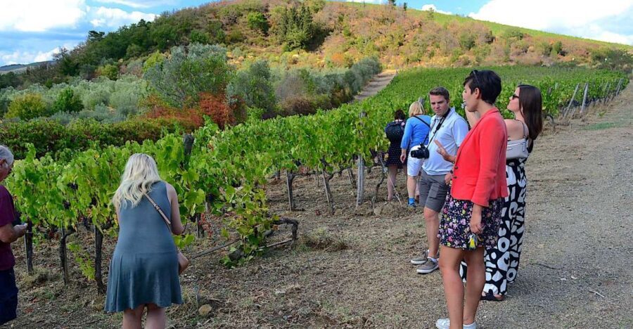 From Florence: Small-Group Chianti Wine Tour 2024 - Winery stop one: cellars first, wine second