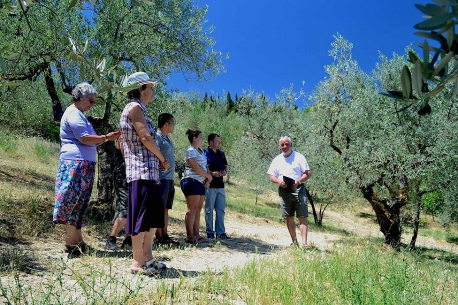 From Florence: Small-Group Chianti Wine Tour 2024 - Afternoon winery tasting: where the learning clicks